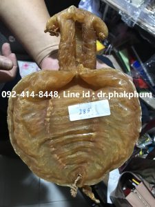 รับซื้อกระเพาะปลาให้ราคาสูง รับเช่าพระ รับเช่าพระเครื่อง รับเช่าพระบูชา รับเหมาพระเครื่อง รับเหมาพระบูชา ให้ราคาสูงที่สุด โทร.092-414-8448, Line id : dr.phakphum รับซื้อถึงบ้านครับ เพื่อความสะดวก โทรมาได้เลยนะครับที่ โทร. 092-414-8448 หรือส่งรูปมาประเมินราคาที่ Line id : dr.phakphum ให้ราคาสูงที่สุด จ่ายเงินสด งบไม่อั้น รับซื้อกรเพาะปลา รับซื้อกระเพาะปลาเก่า รับซื้อกระเพาะปลาให้ราคาสูง รับเช่าพระถึงบ้าน